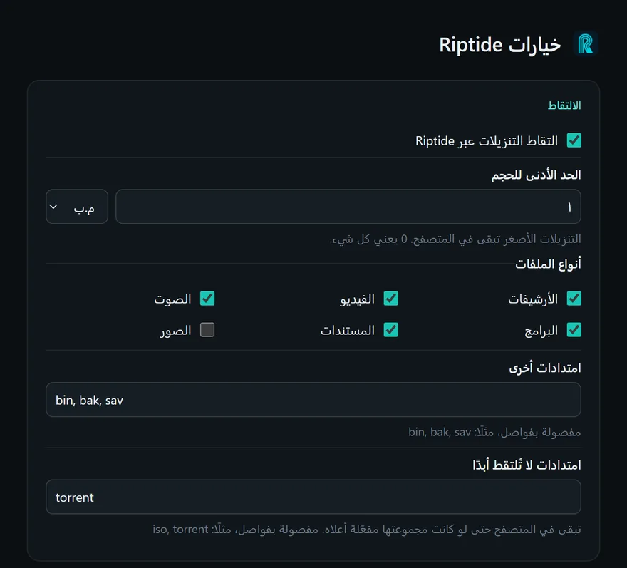 خيارات الإضافة بالعربية: التقاط التنزيلات عبر ريبتايد وحد أدنى للحجم وخانات للأرشيف والفيديو والصوت والبرامج والمستندات