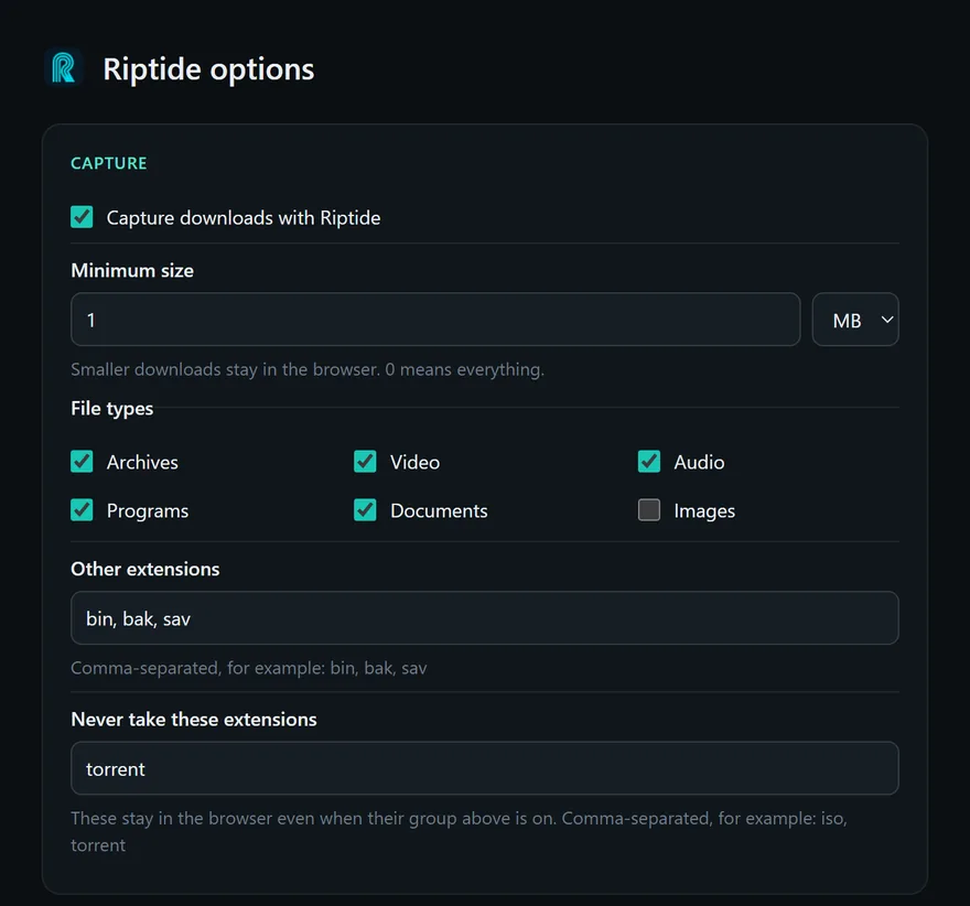 The extension options: capture downloads with Riptide, a minimum size and ticks for archives, video, audio, programs and documents